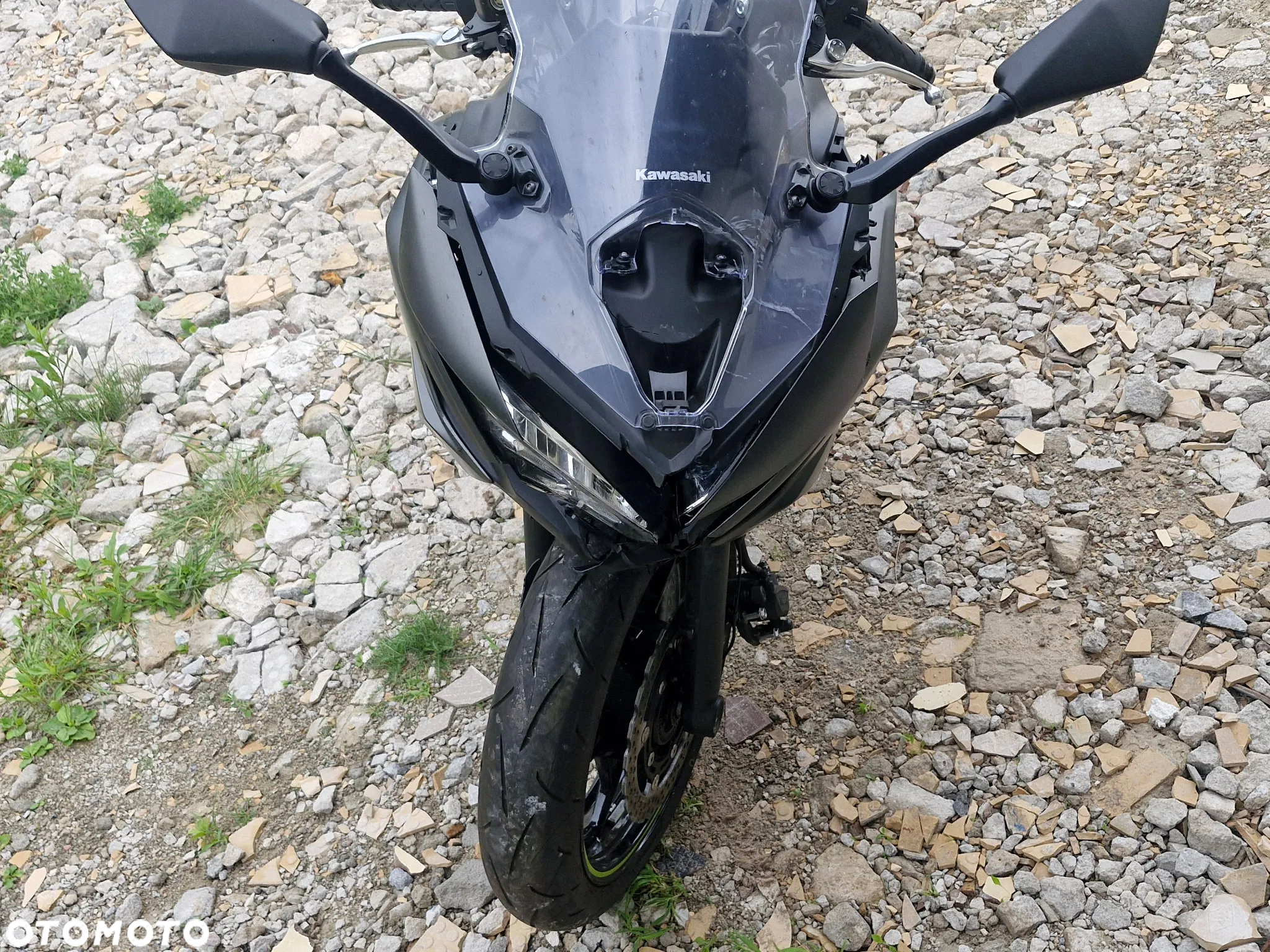 Kawasaki Ninja - 10