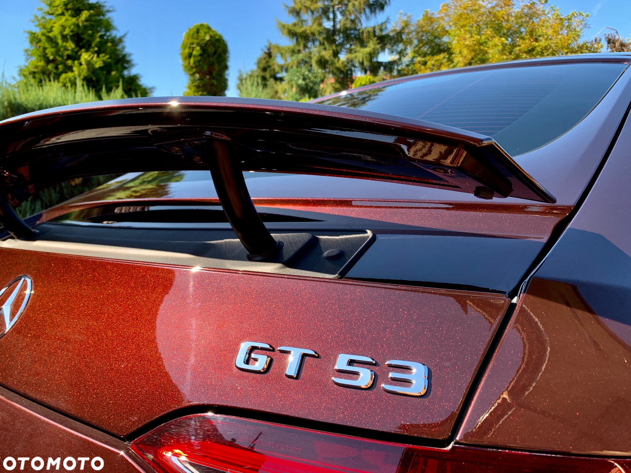 Mercedes-Benz AMG GT 53 4Matic+ Coupe Speedshift TCT 9G Sonderedition - 12