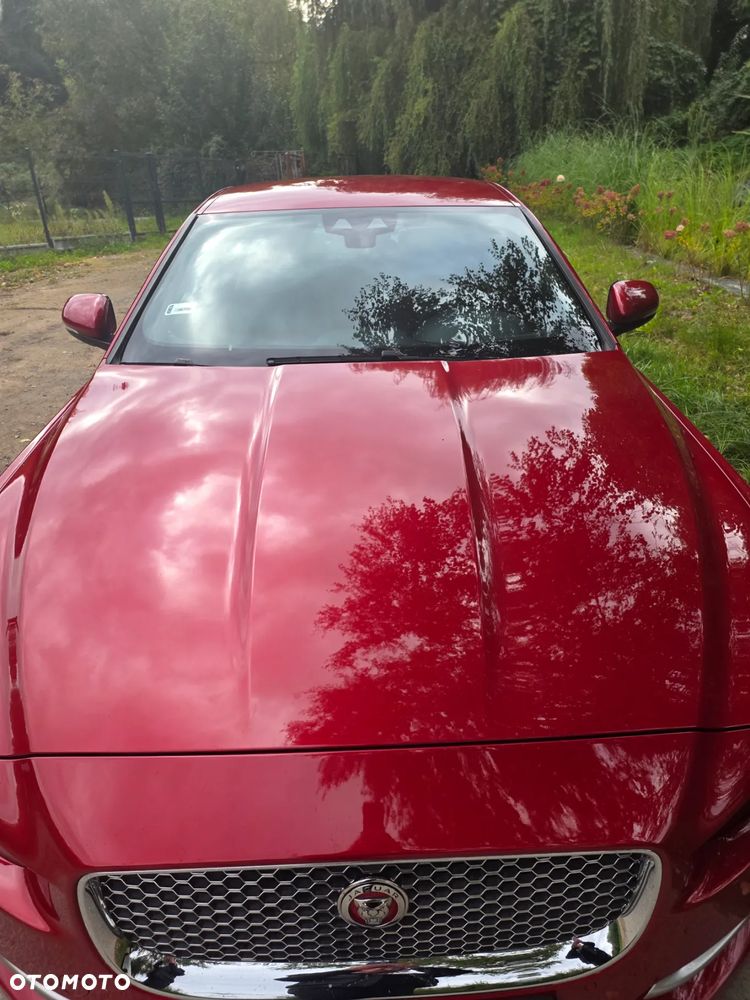Jaguar XE E-Performance R-Sport - 8
