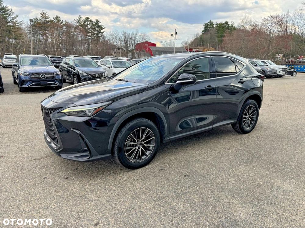 Lexus NX 350h F Sport AWD - 4