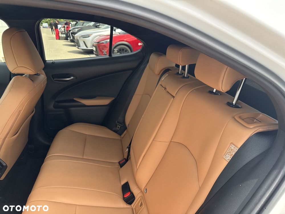 Lexus UX 250h GPF F Sport Design+ 2WD - 14