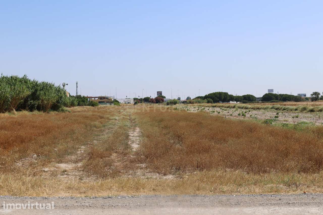 Terreno 1.6 Ha Samouco - Alcochete - Grande imagem: 4/9