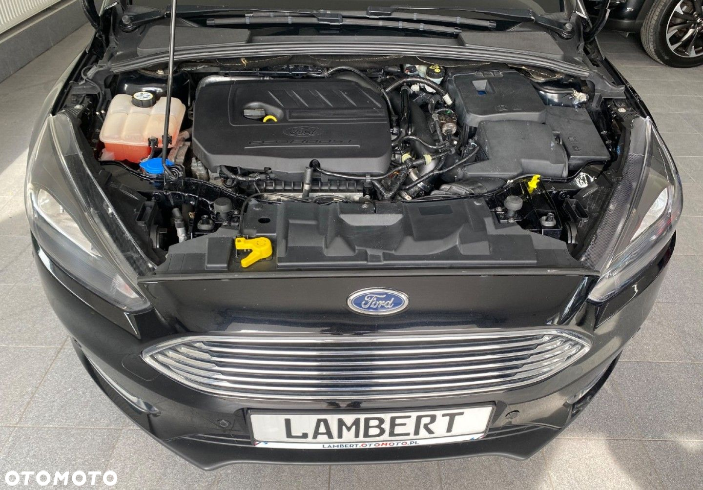 Ford Focus - 13