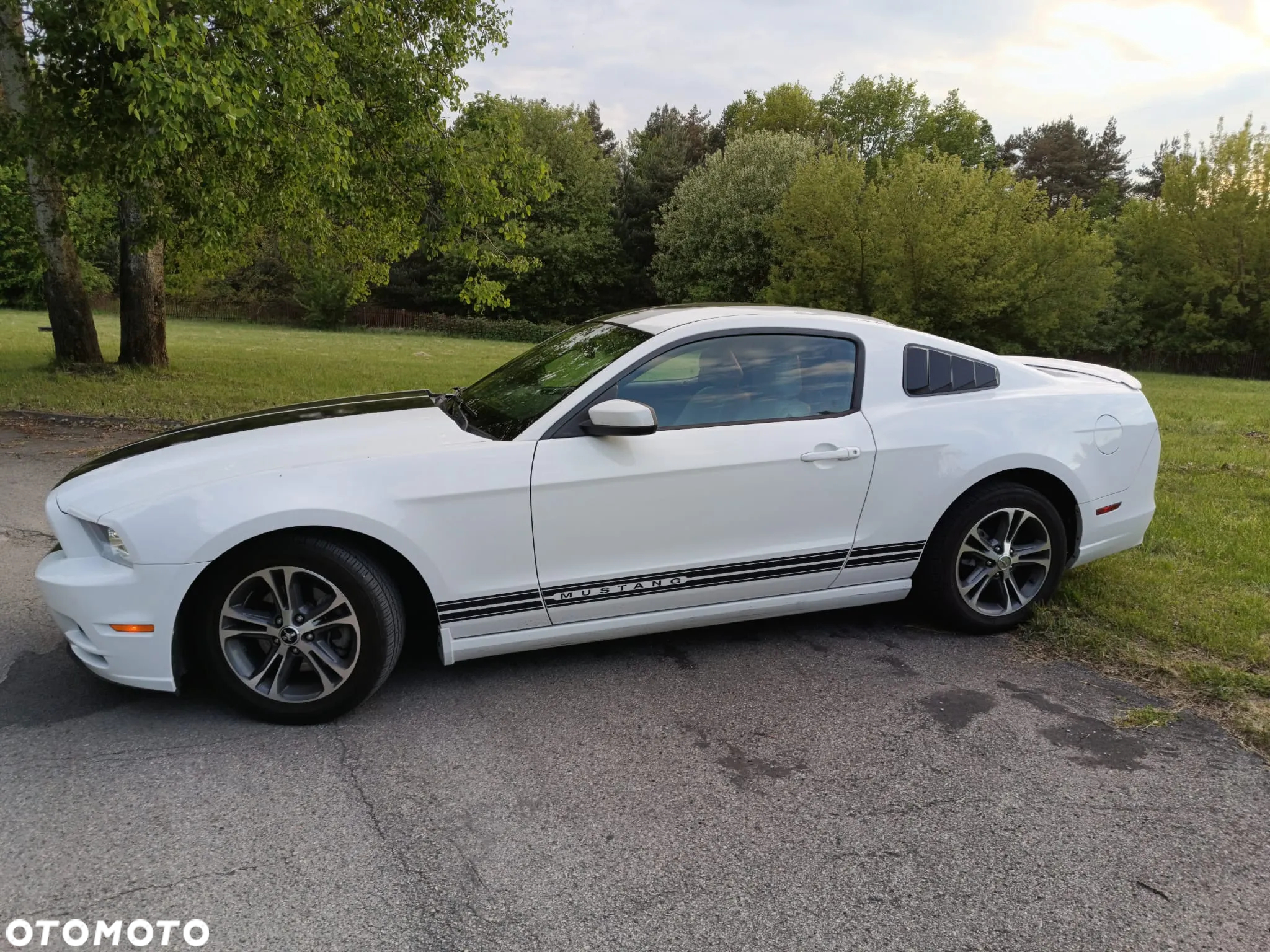 Ford Mustang 3.7 V6 Premium - 18