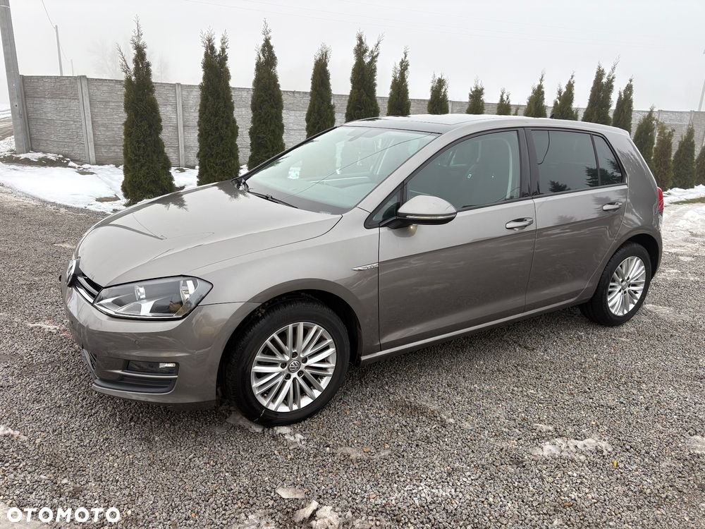 Volkswagen Golf 1.6 TDI BlueMotion Technology Cup - 1
