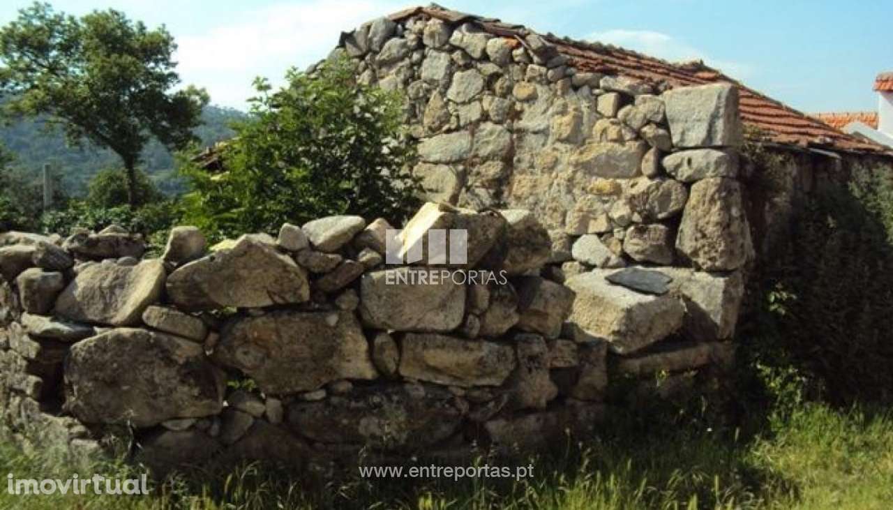Venda Moradia, Santiago de Piães, Cinfães - Grande imagem: 5/6