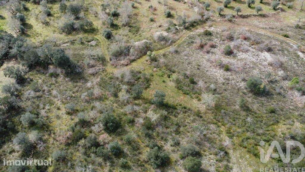 Terreno em Chãos de 13960,00 m2 - Grande imagem: 3/30