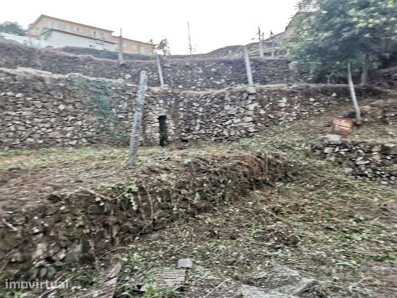 Terreno Quinta Vale Cambra Costa Anelha 0,5HA - Grande imagem: 3/8