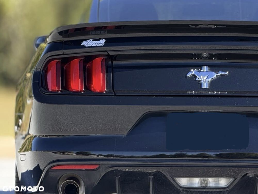 Ford Mustang - 14