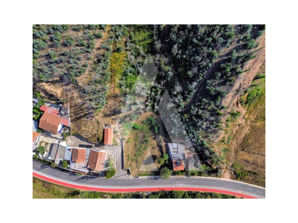 Terreno com 11.000 m² em Frossos - Albergaria-a-Velha - Grande imagem: 3/16
