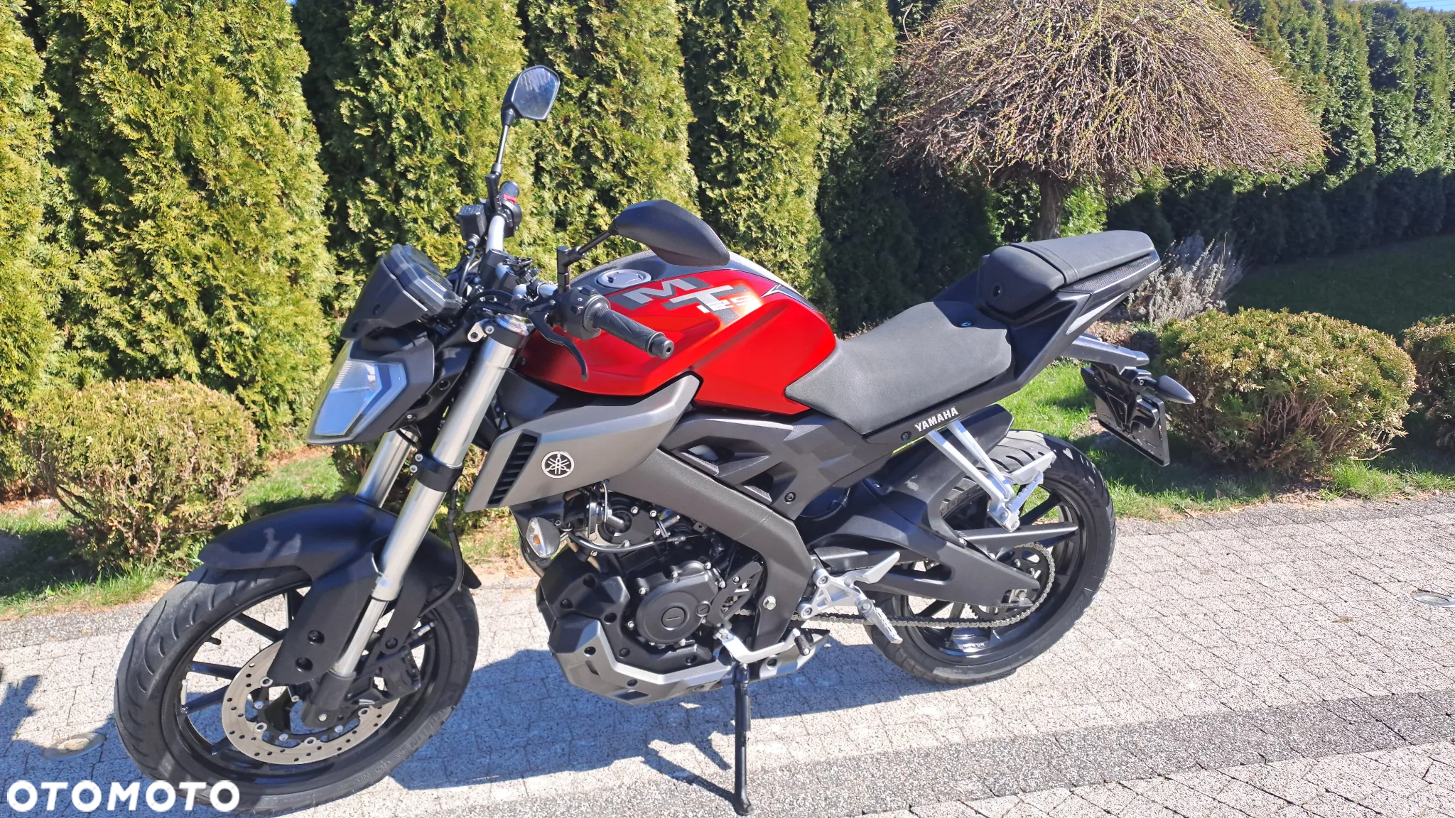 Yamaha MT - 34