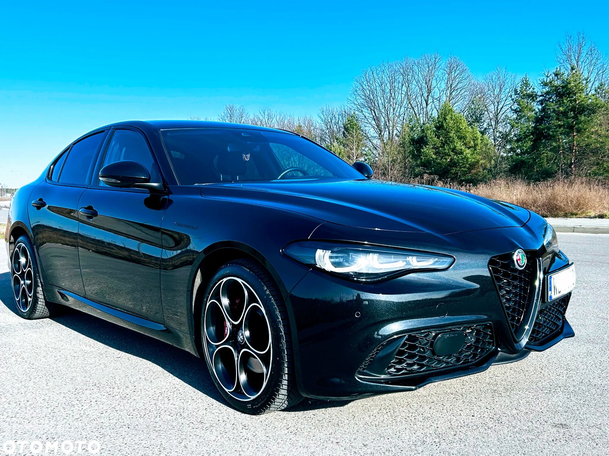 Alfa Romeo Giulia 2.0 Turbo Competizione Q4 - 1