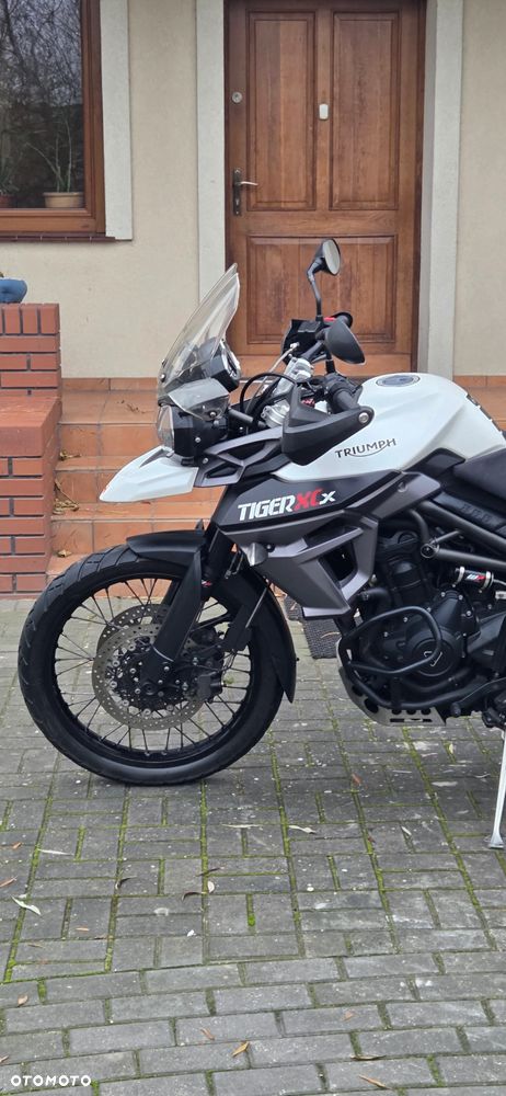 Triumph Tiger - 11