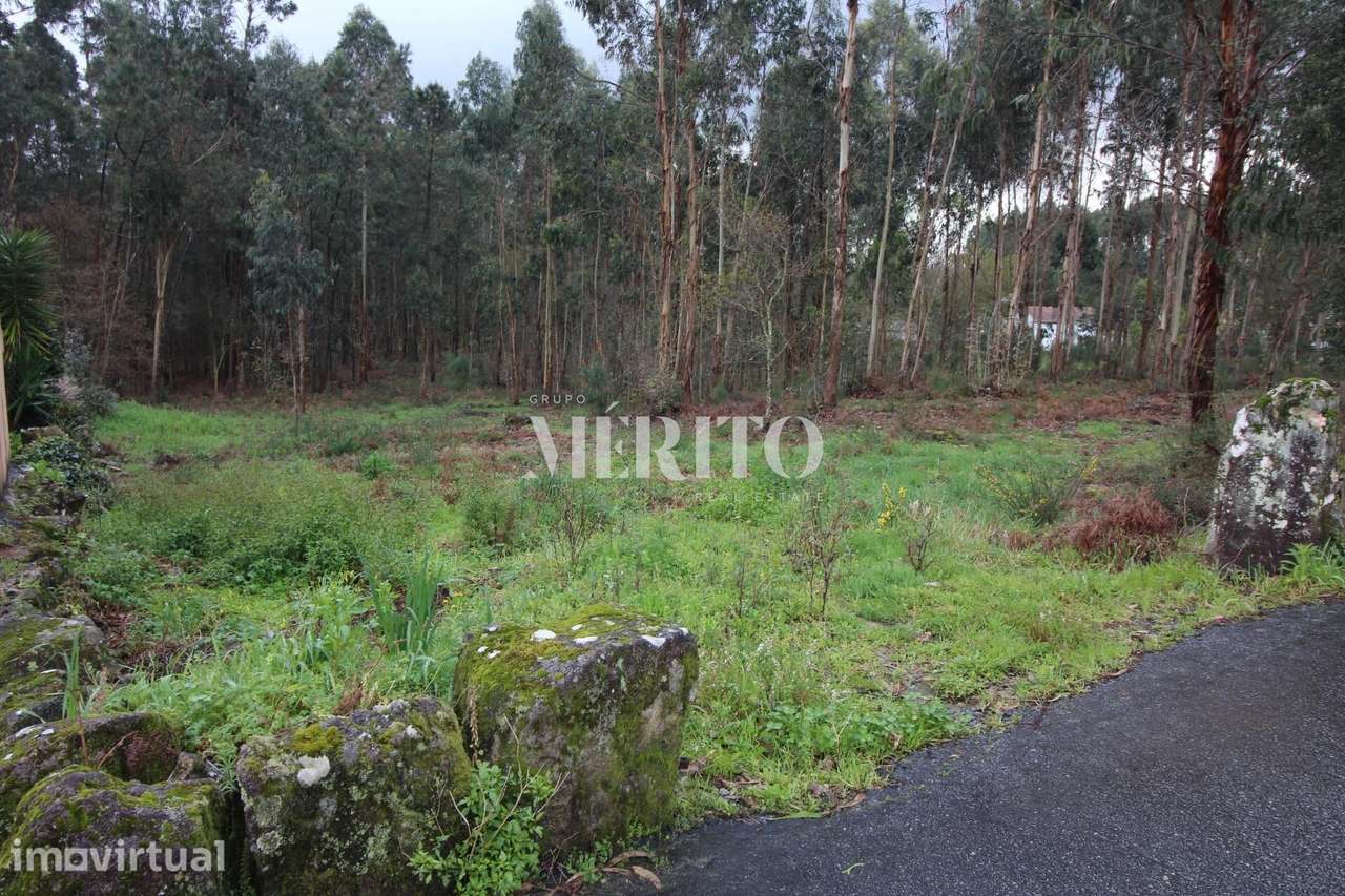 TERRENO PARA CONSTRUÇAO VILA COVA - Grande imagem: 2/7