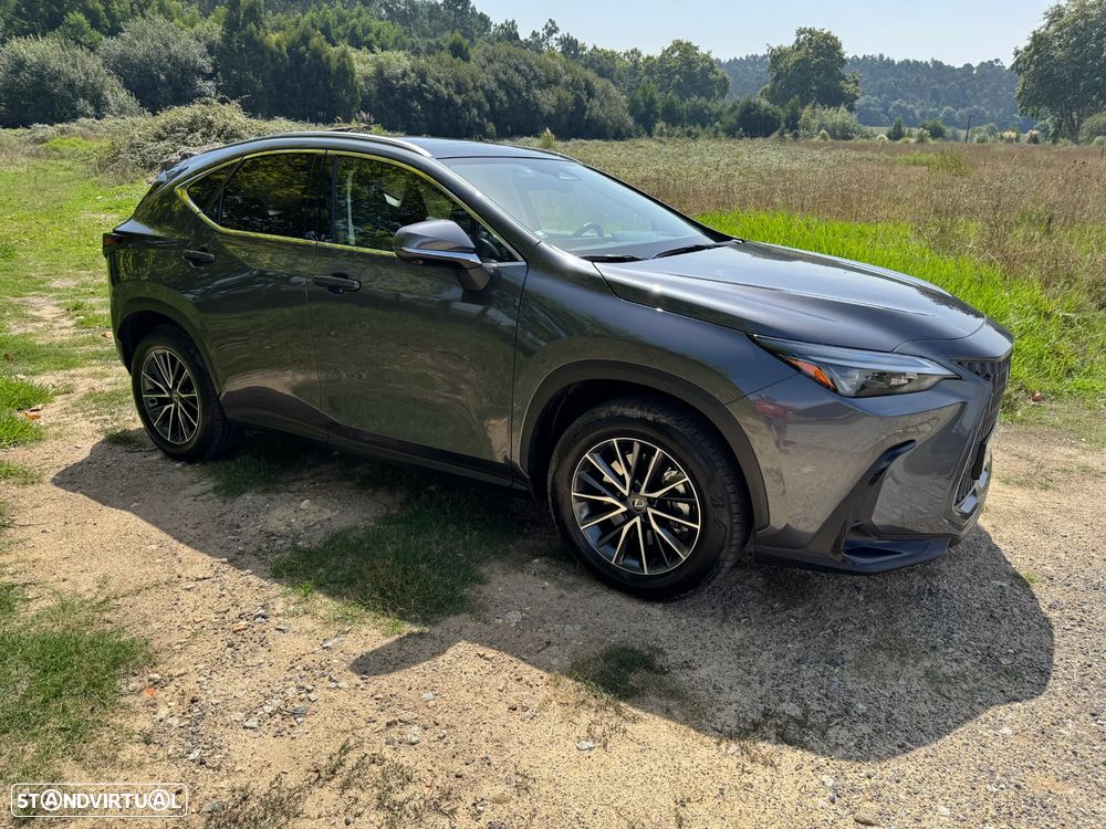 Lexus NX 450h+ Premium - 2