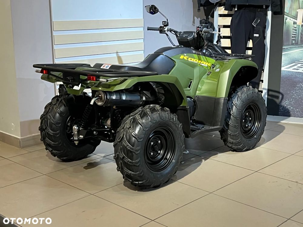 Yamaha Kodiak - 10