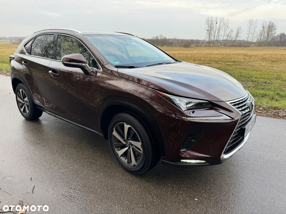 Lexus NX 300h F Impression AWD - 8