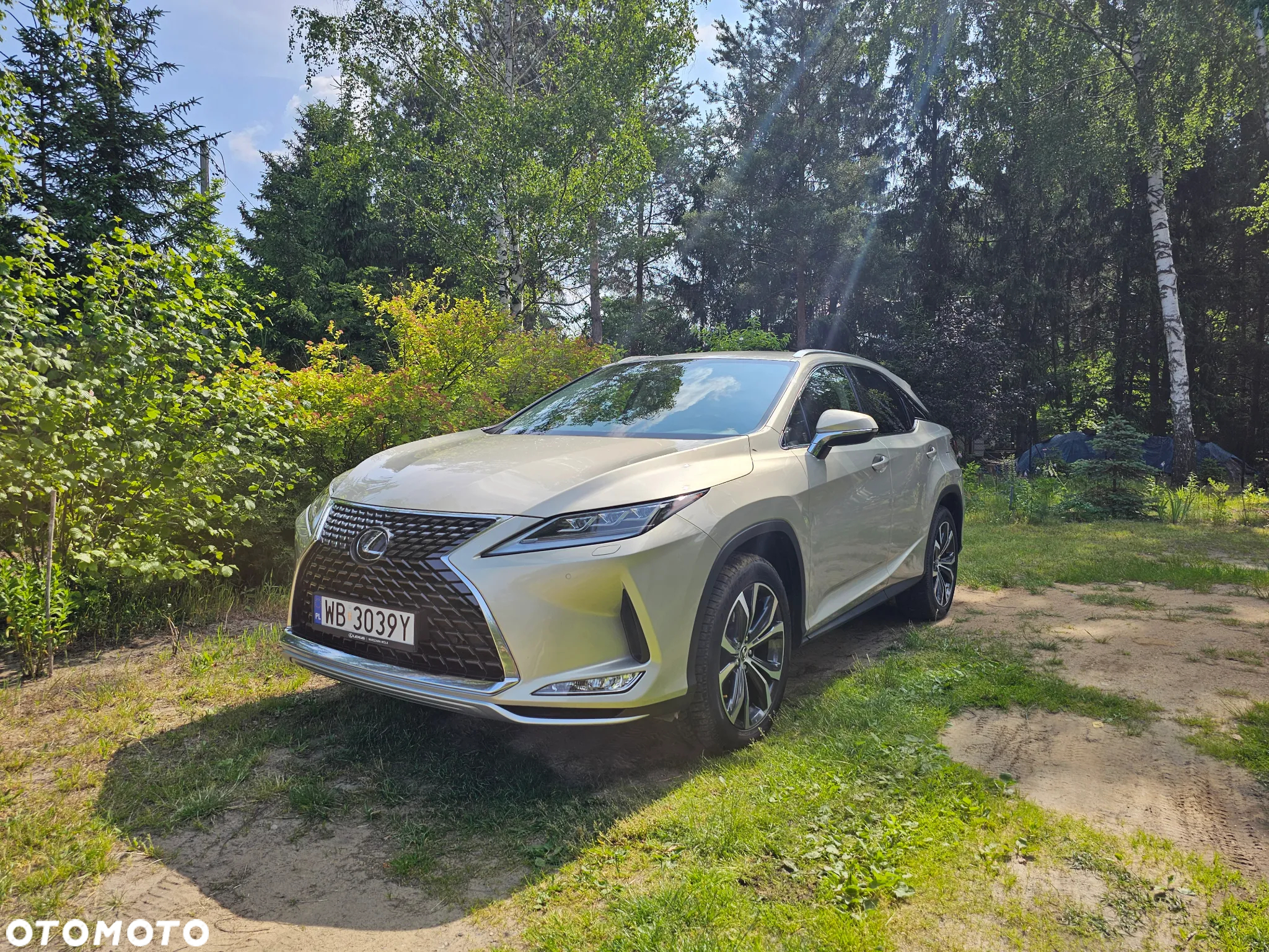 Lexus RX 300 Business Edition + - 3