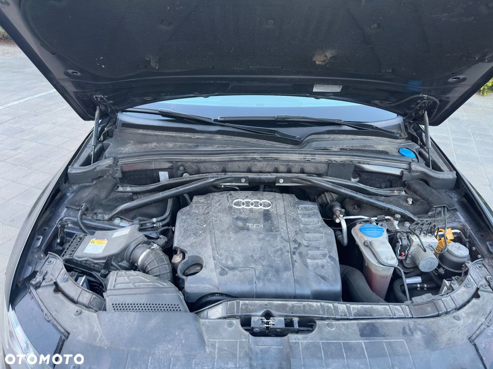 Audi Q5 2.0 TDI Quattro Stronic - 24