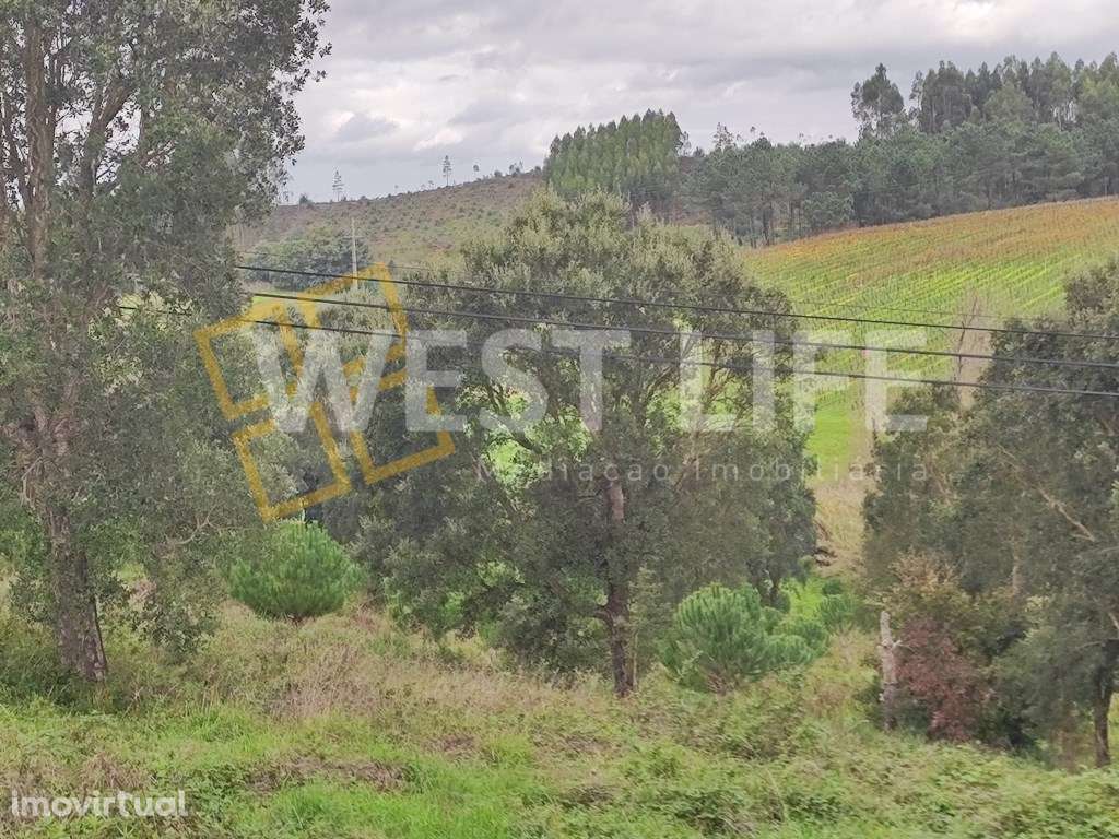 Terreno Urbano com viabilidade de construção, excelente localização... - Grande imagem: 5/11