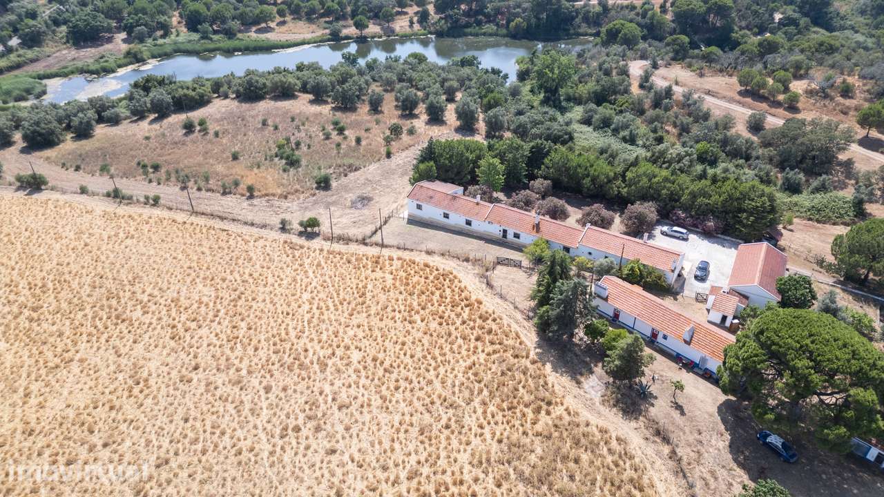 Herdade 38 ha com Barragem Privativa – Alcácer do Sal - Grande imagem: 4/5