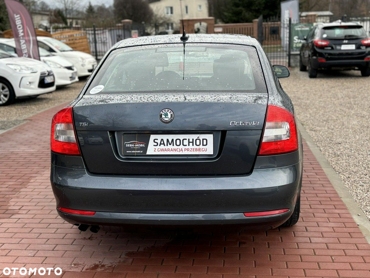 Skoda Octavia - 6