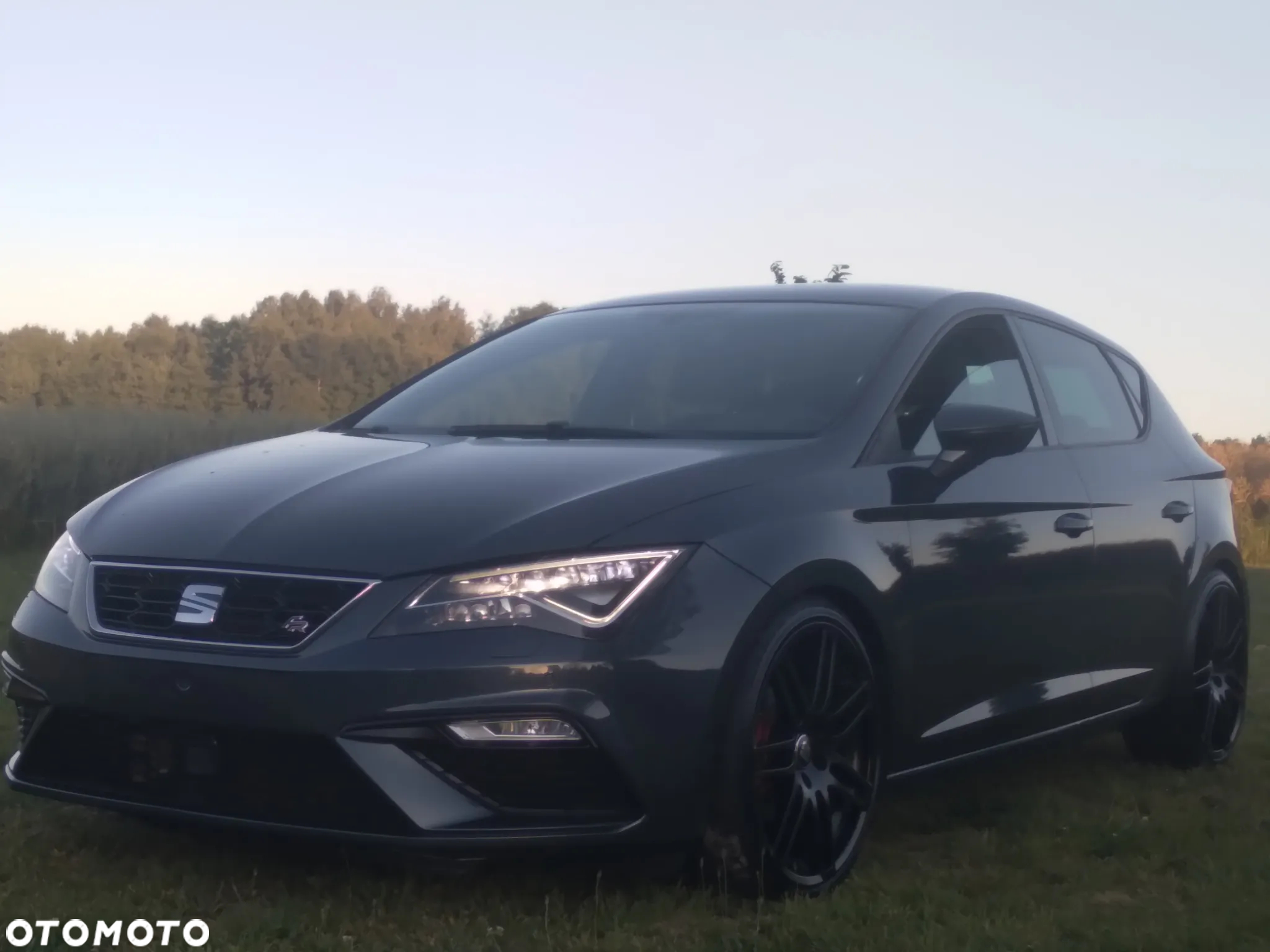 Seat Leon - 2