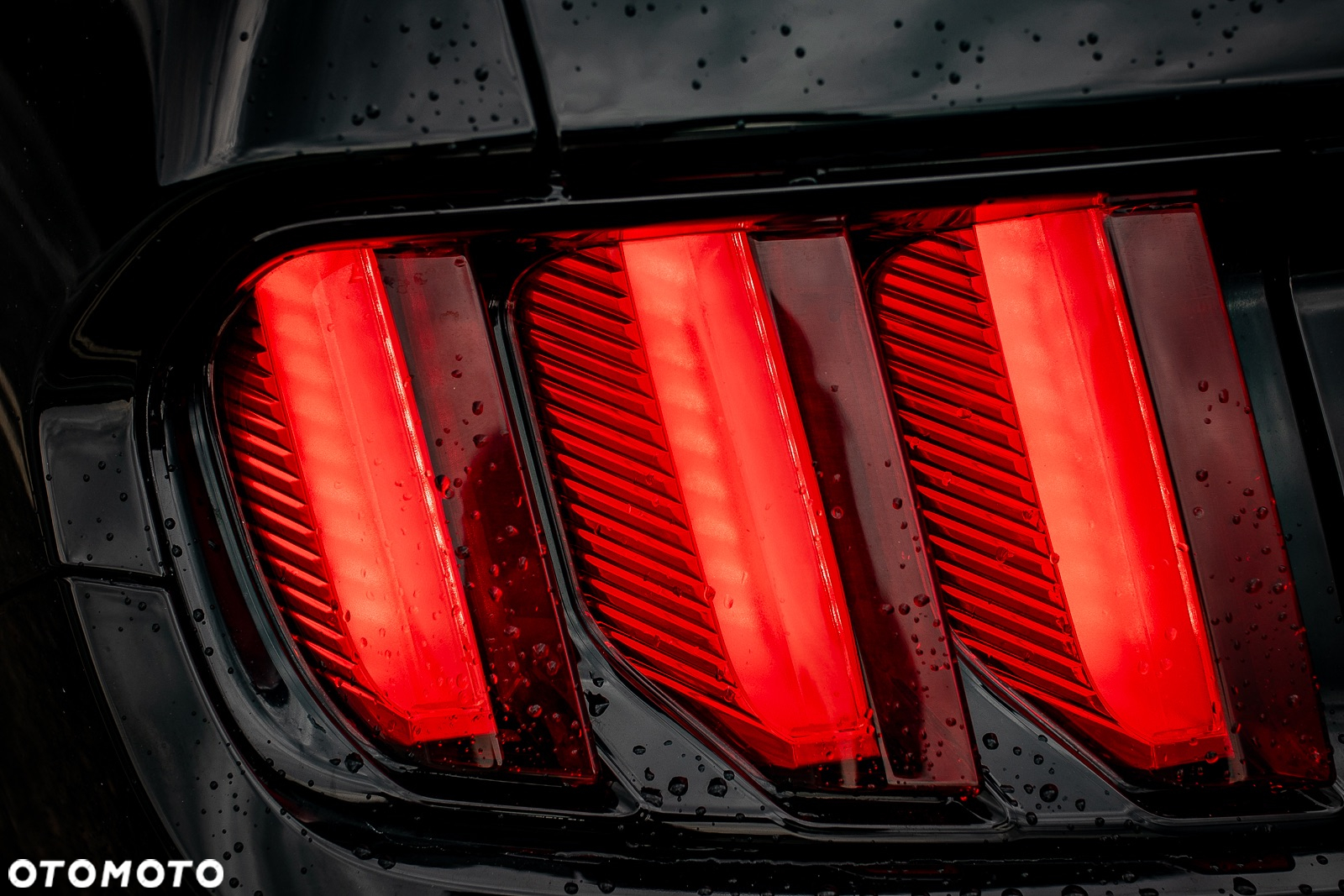Ford Mustang 2.3 EcoBoost - 12