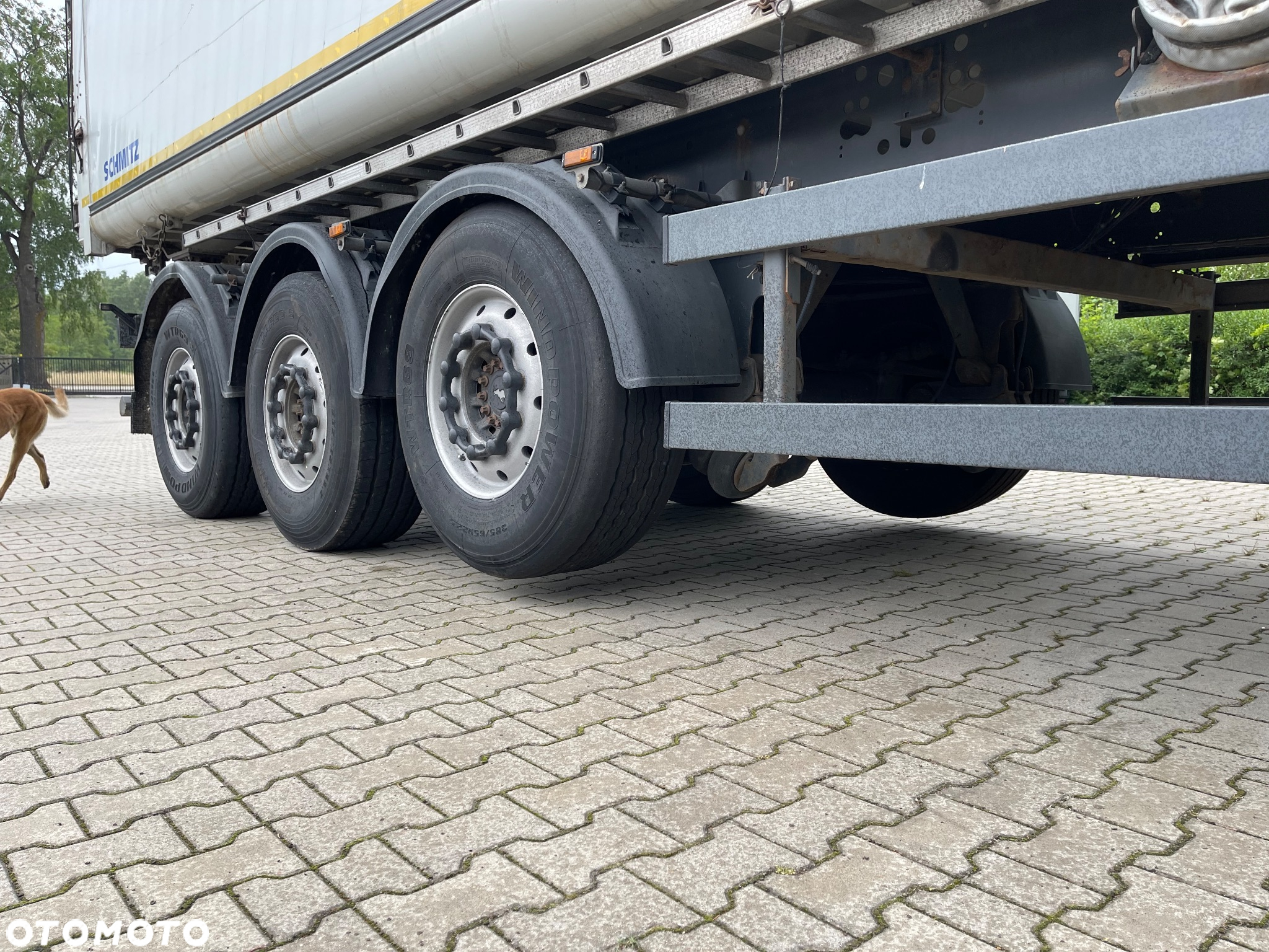 Schmitz Cargobull 55m3 - 10