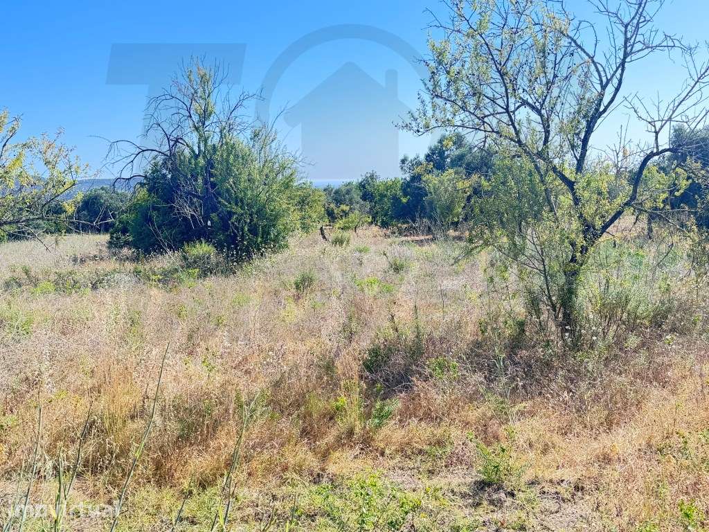 Terreno Rústico com 4.664 m² - Fazendas da Serra, Loulé - 82.000€ - Grande imagem: 3/6
