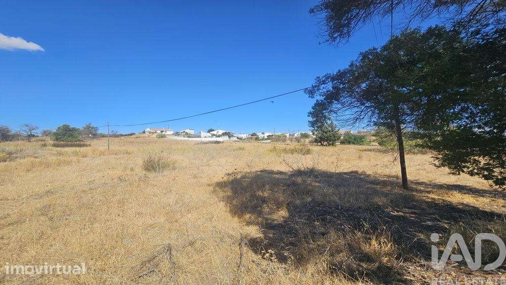 Terreno Agrícola em Alcoutim e Pereiro - Grande imagem: 2/13