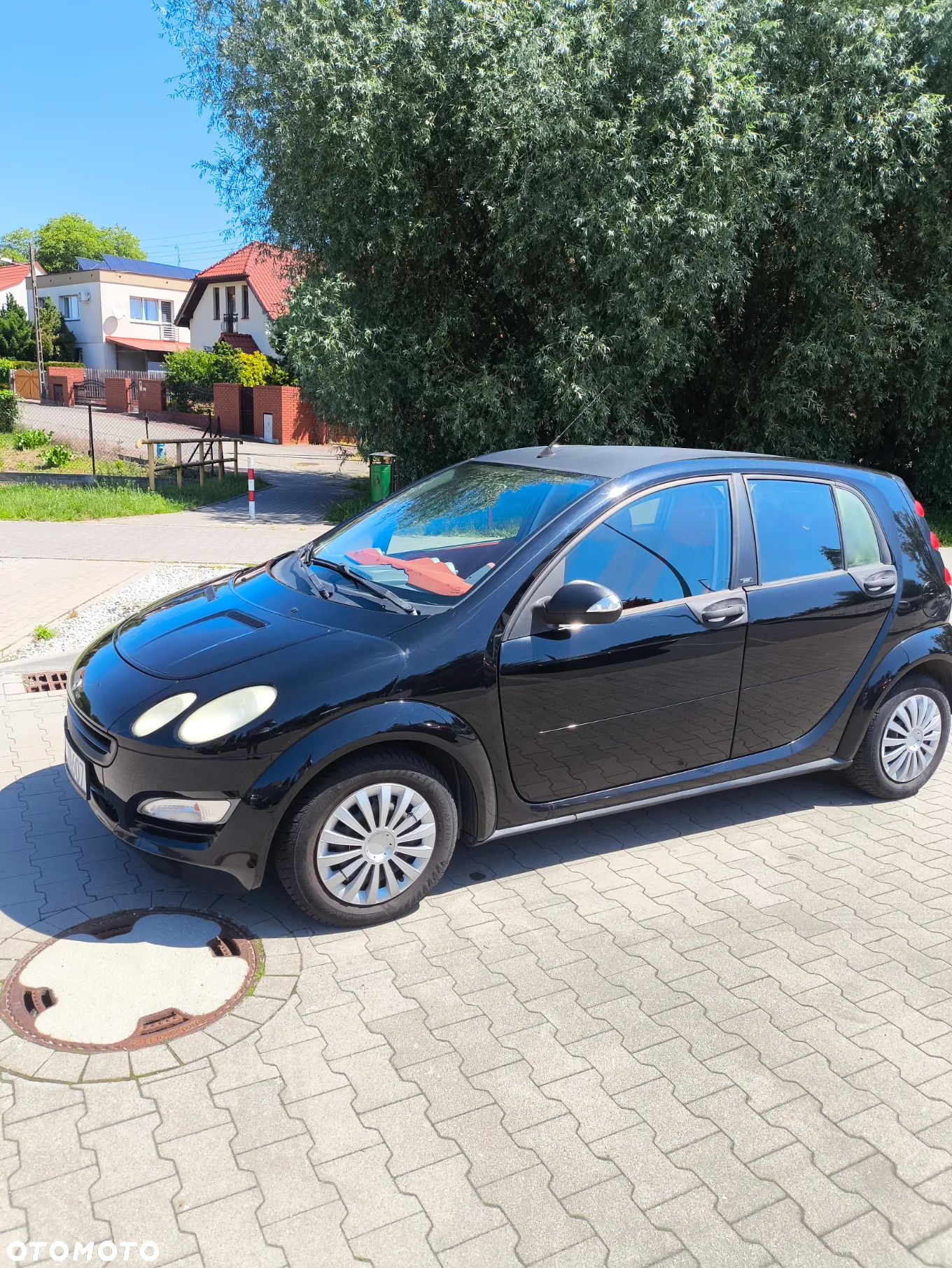Smart Forfour passion - 3
