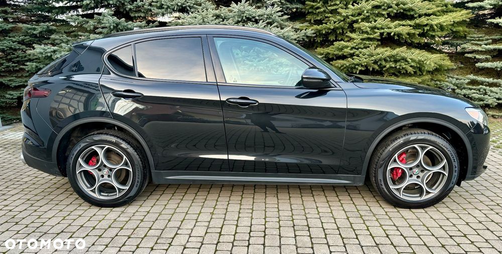 Alfa Romeo Stelvio 2.0 Turbo 16V AT8-Q4 First Edition - 4