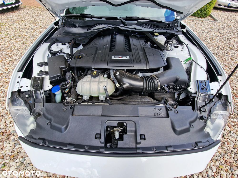 Ford Mustang 5.0 Ti-VCT V8 GT - 18