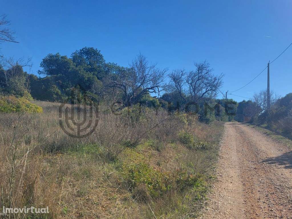 Terreno misto com viabilidade de construção na Guia - Albufeira - Grande imagem: 5/19