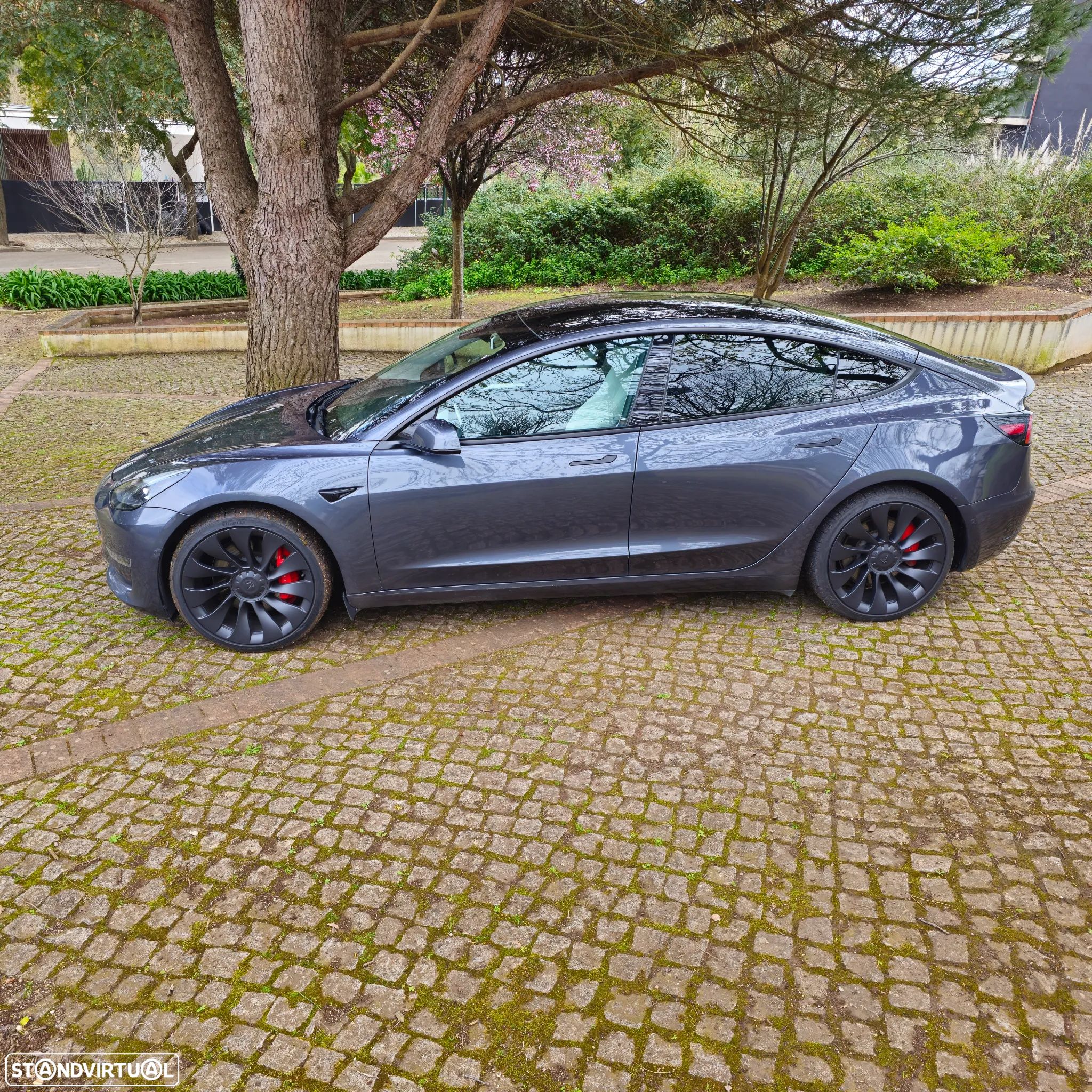 Tesla Model 3 Performance Dual Motor AWD - 1