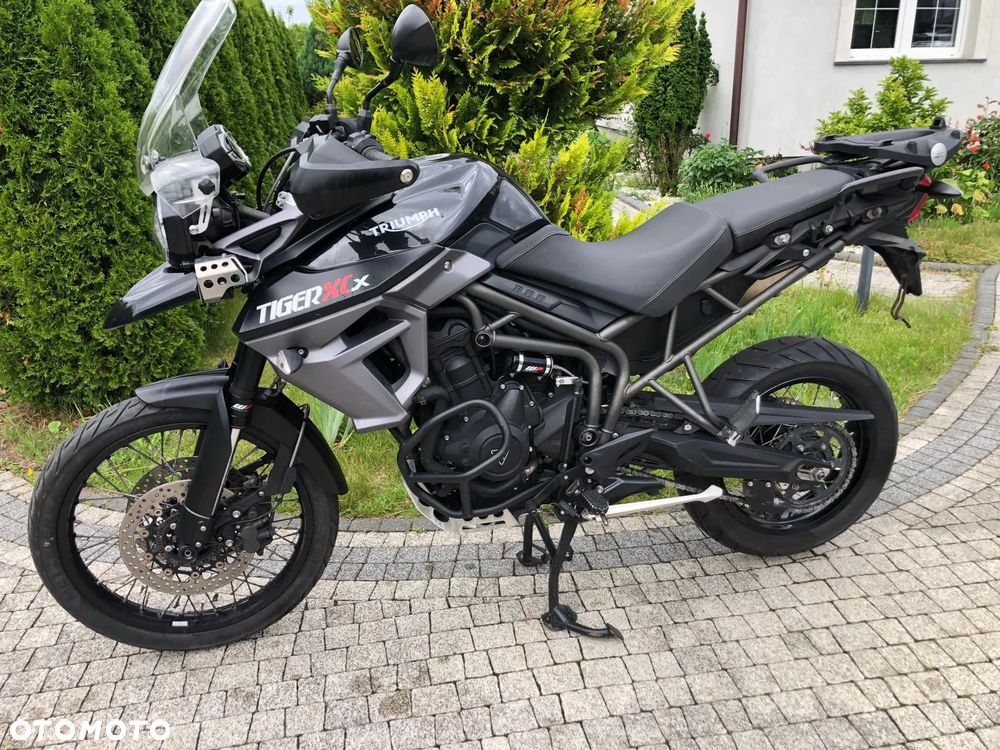 Triumph Tiger - 1