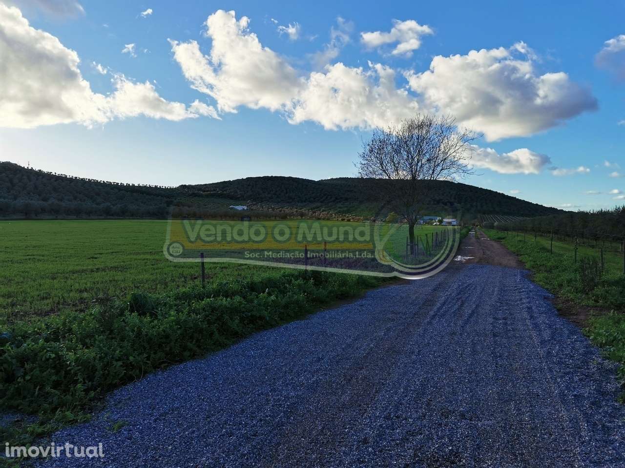 Terreno em Sousel, Portalegre (PSL001) - Grande imagem: 3/13