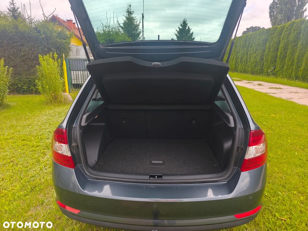 Skoda RAPID - 18