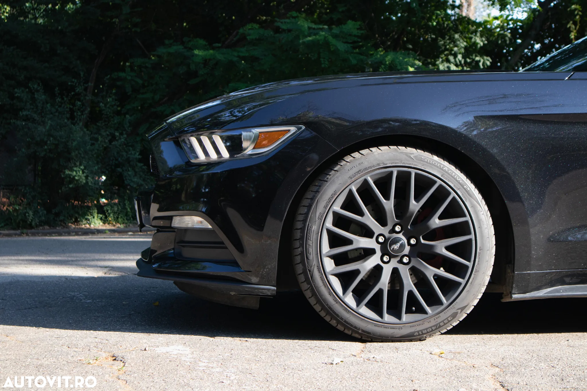 Ford Mustang Cabrio 2.3 Eco Boost - 8