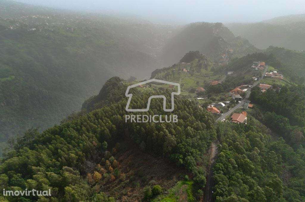 Terreno - Sta Cruz - Grande imagem: 3/9