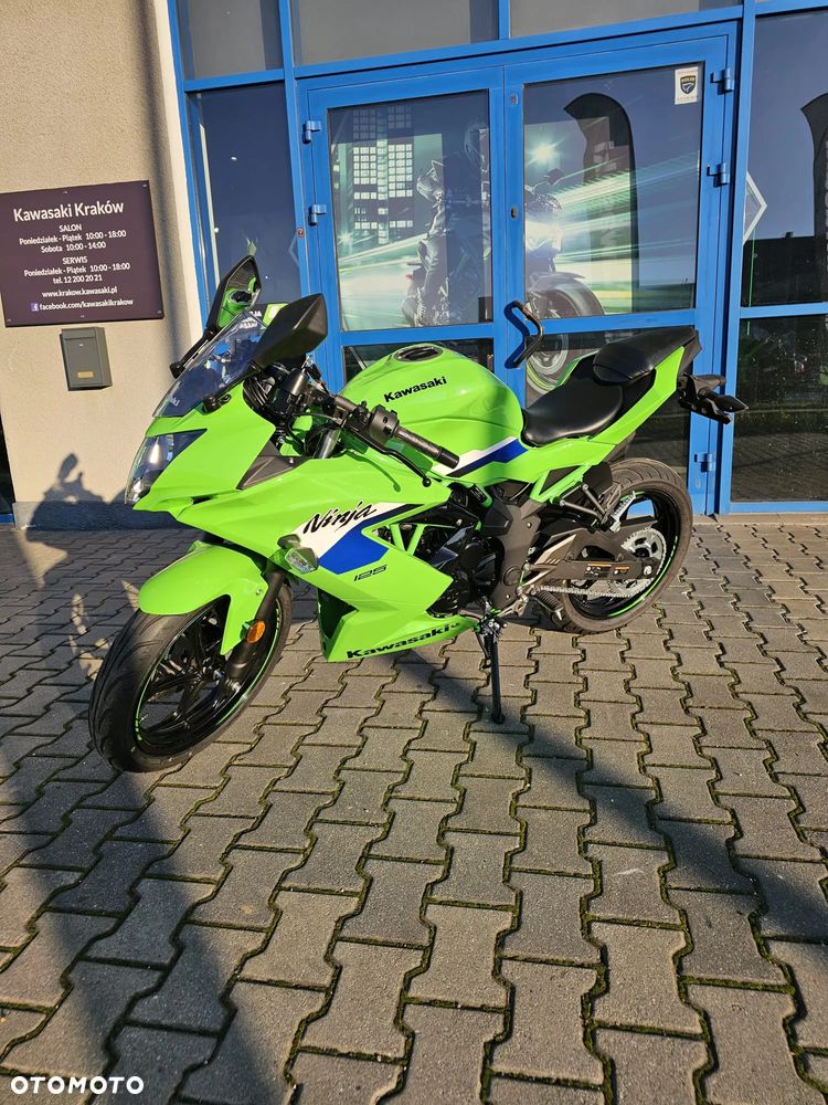 Kawasaki Z - 10