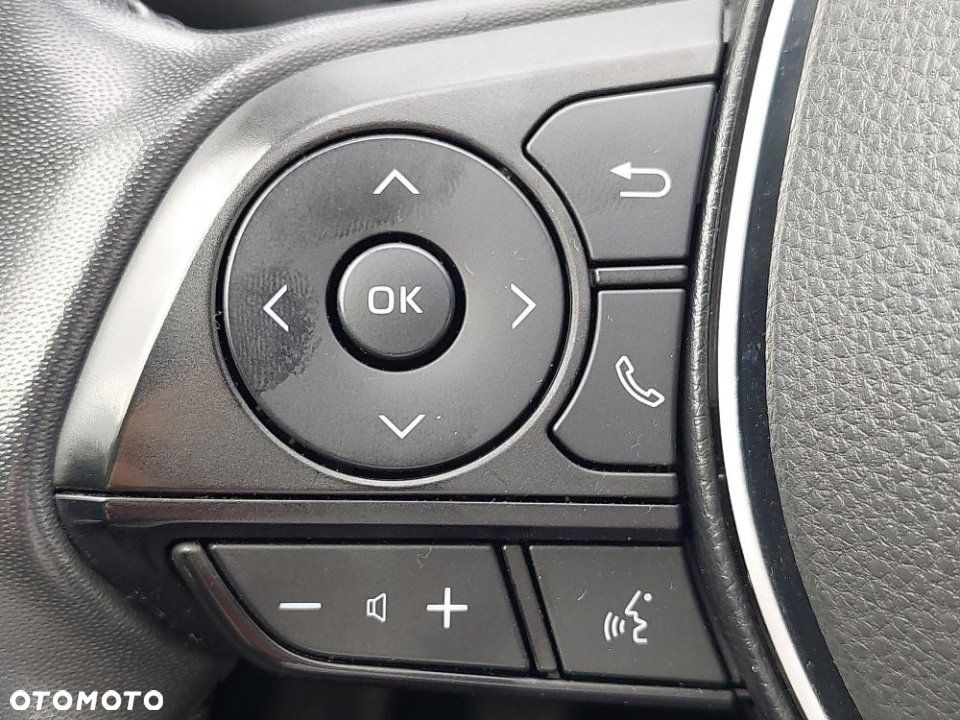Toyota RAV4 - 21