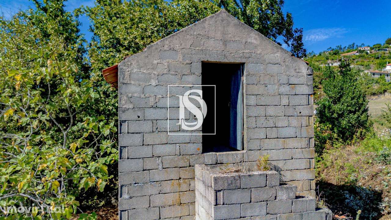 Terreno  Venda em Frende,Baião - Grande imagem: 4/37