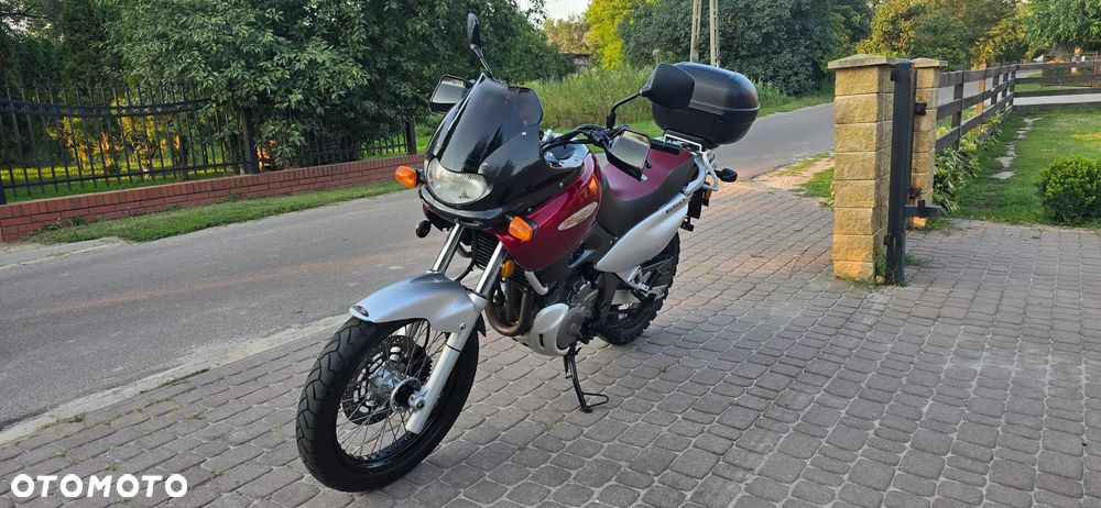 Suzuki XF - 7