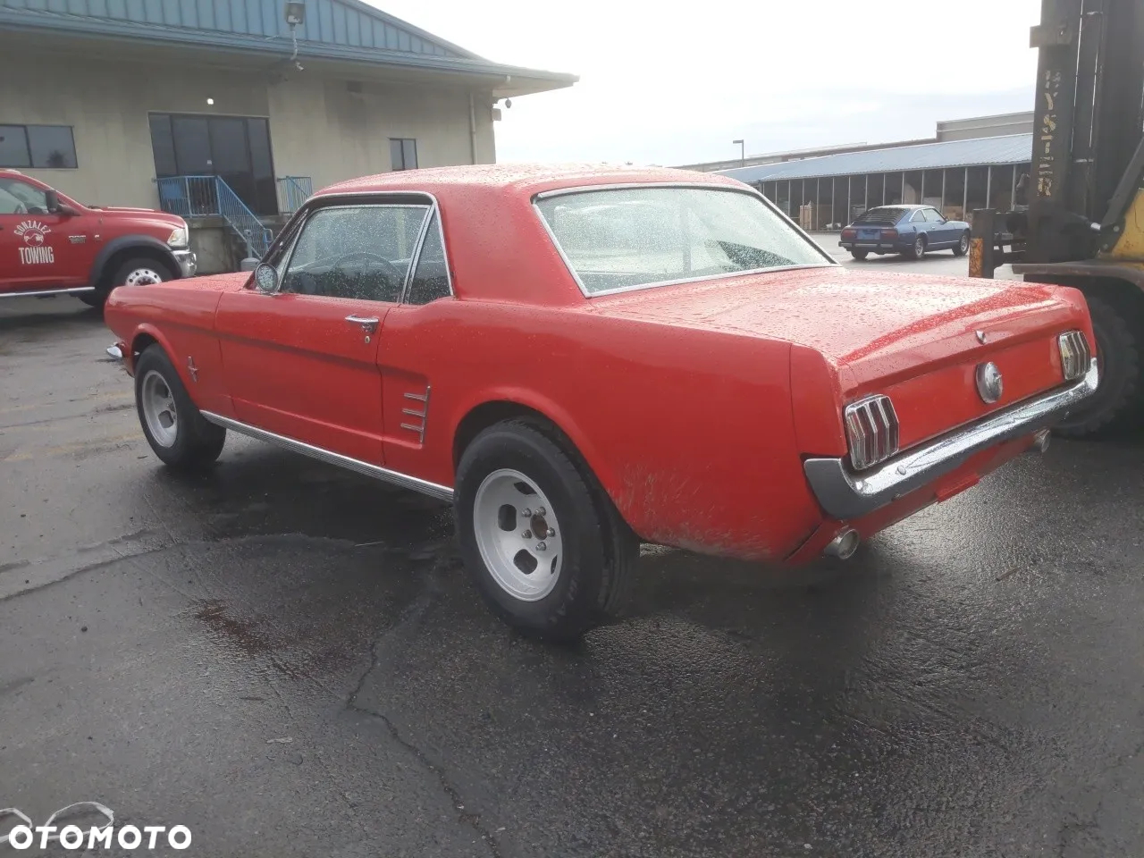 Ford Mustang - 29