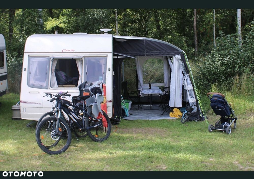 Bailey Pageant Majestic - 24