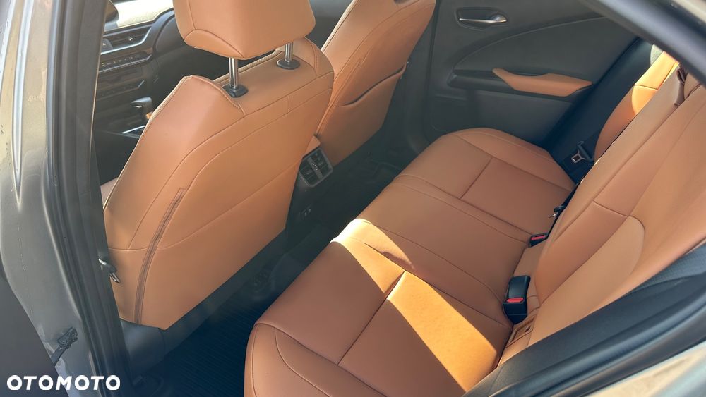 Lexus UX 250h GPF Prestige AWD - 24