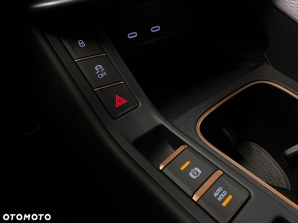 Cupra Terramar - 36