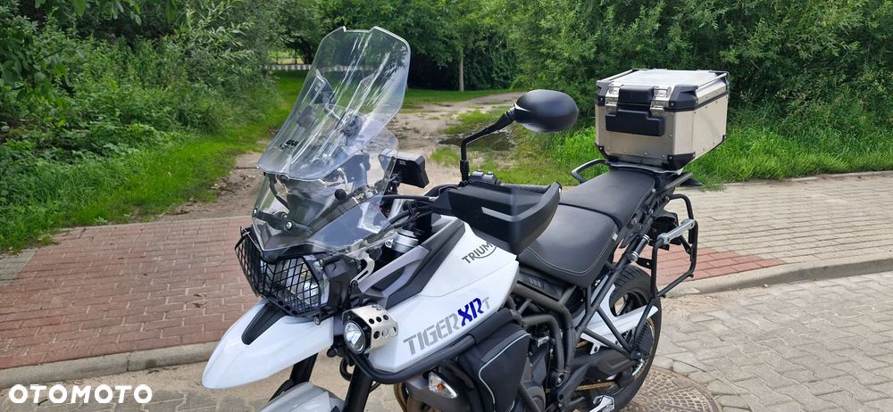 Triumph Tiger - 7